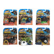 Hot Wheels Monster Truck & Car asst