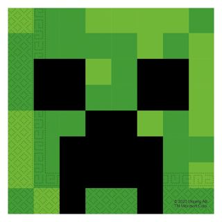 Minecraft- Napkins (20)