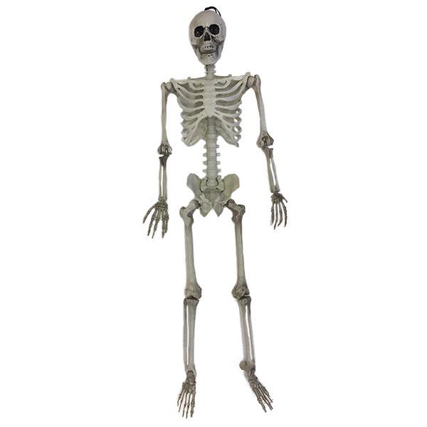 Halloween - Skeleton Hanging 91cm