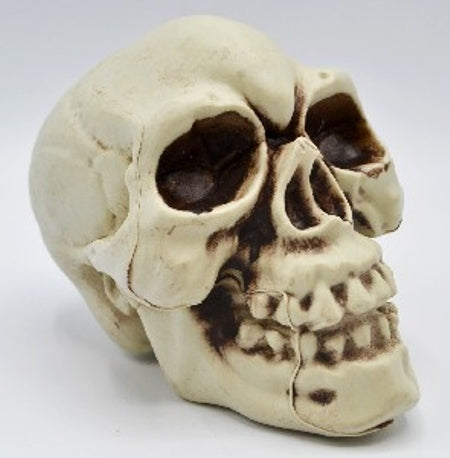 Halloween Skull 9 x 12 cm