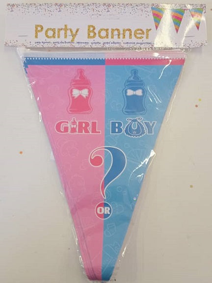 Gender Reveal Banner 22x29cm