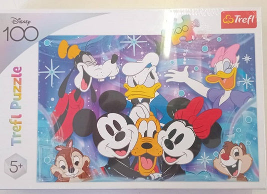 Puzzle It's a Fun Day at Disney 100pc