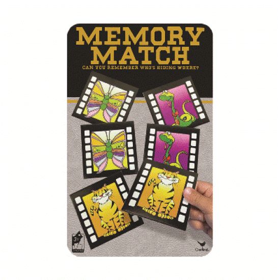 Memory Match in Tin
