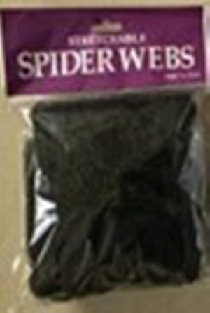Spiderweb &amp; 4 Spiders Black