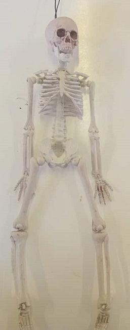 Halloween - Skeleton Hanging 37cm