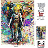 Puzzle - Color Burst 1000pc