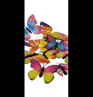 Butterfly Multi Color 12pc