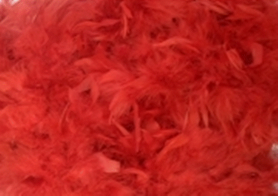 Feather Boa 120g 1,8m Deep Red