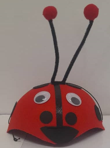 Hat Ladybug