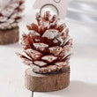 Christmas Pine Place Holders (6)