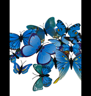 Butterfly Blue 12pc