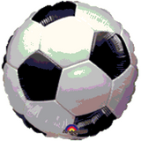Soccer - FB Champion Soccer