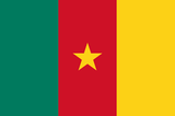 Flag - Cameroon 150x90cm