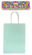 Party Bags - Pastel Mint (8)