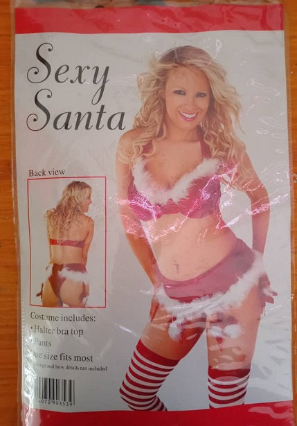 Costume Adult Sexy Santa Bikini