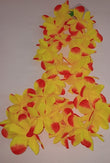 Hawain Leis two tone