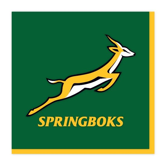Rugby - Springboks Napkins (16)