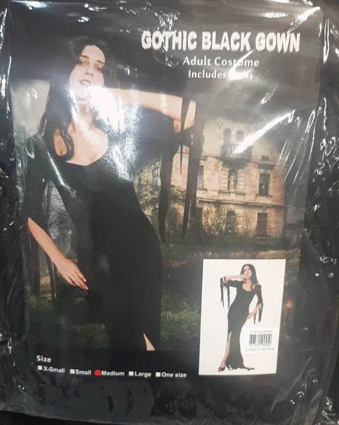 Costume Adult Gothic Black Gown