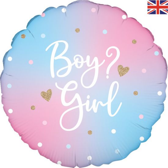 Baby Shower - FB Gender Reveal Pastel