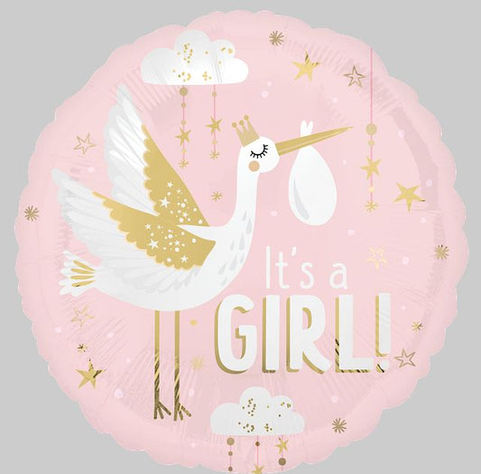 FB Baby Shower - Special Delivery Girl