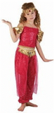 Costume Harem Dancer 4-7yrs
