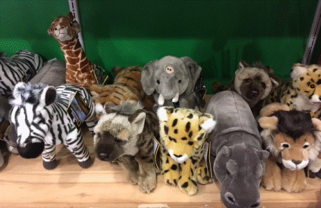 National Geo Plush medium assorted