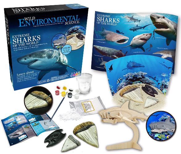 Wild Environmental Science - Extreme Sharks of the World