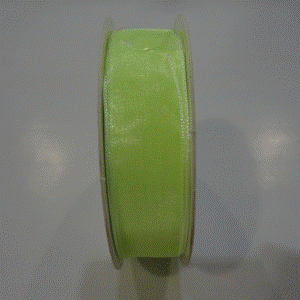 Ribbon - Oraganza Mint 20mm p/m (22)