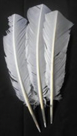 Feathers - White 30cm (3)