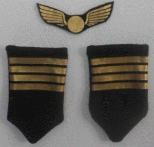 Pilot Epaulettes &amp; Badge 3pce