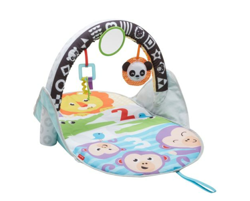 Fisher Price Stow & Go Activity Gym