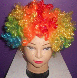 Clown Wig Multicolored