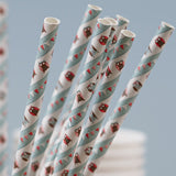 Patchwork Owl - Paper Straws (25)