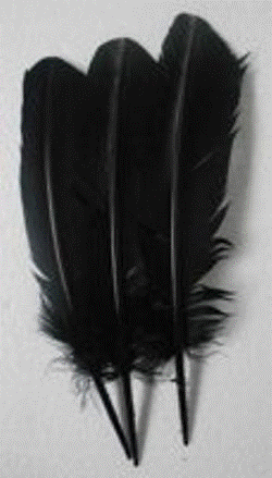 Feathers - Black 30cm (3)