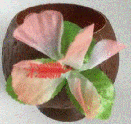 Hawaiian Cup plastic with Petal Flower