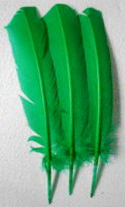 Feathers - Green 30cm (3)