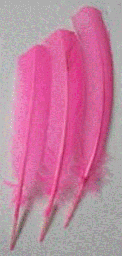 Feathers - Pink 30cm (3)