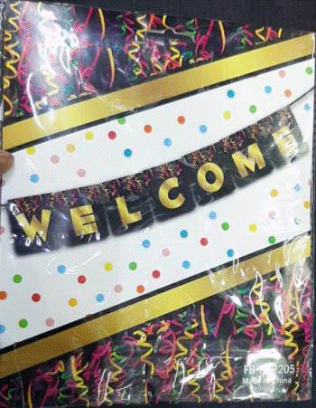 Bunting - Welcome 3m