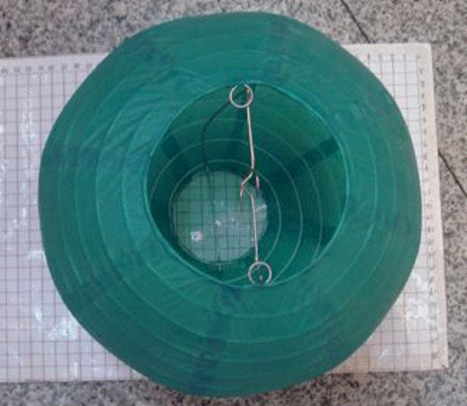 Lantern - Paper Round 40cm assorted