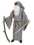 Grey Coat with Hood (Druid)