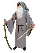 Grey Coat with Hood (Druid)