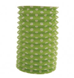 Lantern - Cylinder Paper 16cm Dot Green
