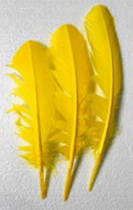 Feathers - Yellow 30cm (3)