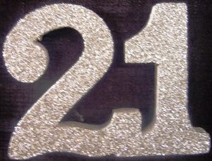 Polystrene 21 20cm Silver Glitter