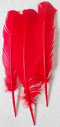 Feathers - Red 30cm (3)