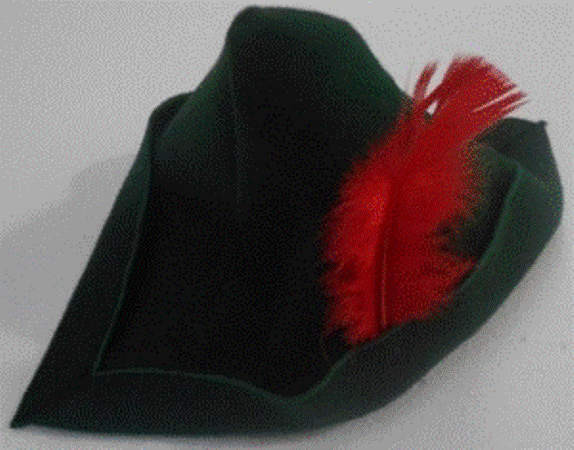 Robin Hood Green Felt Hat &amp; Red Feather