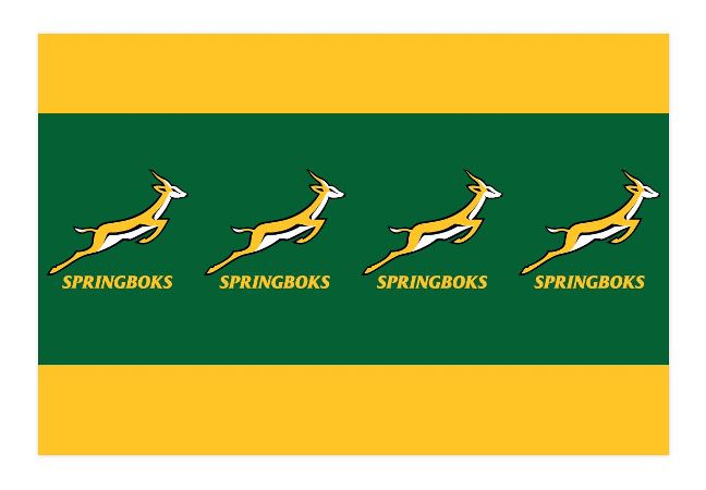 Springboks Paper Tablecloth 180x120cm