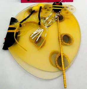 Wings Bee with Aliceband & Bee Wand