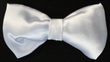 Bowtie - White