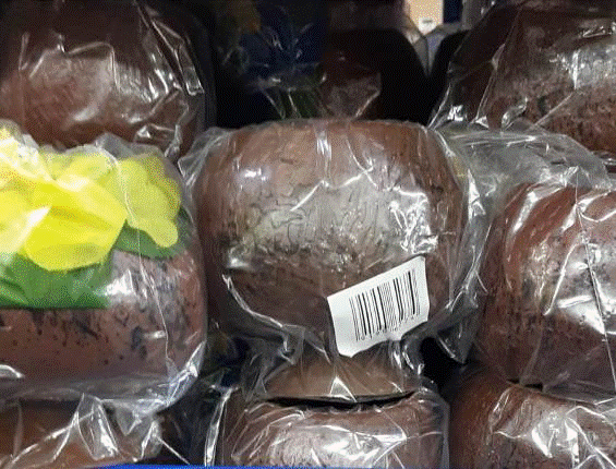 Coconut Cup with Flower